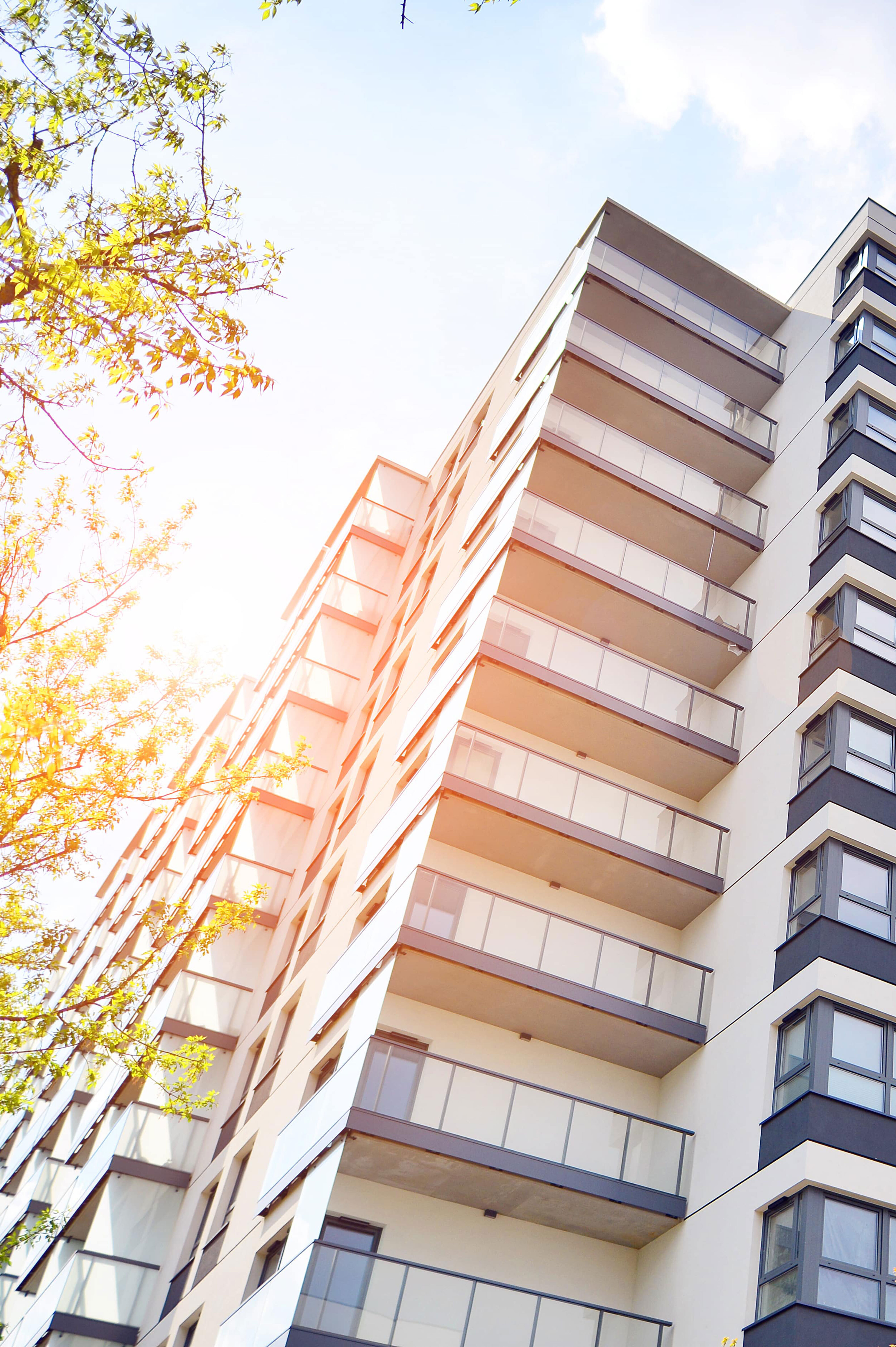 Alexandria Property Management